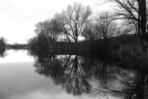 Kliknij na zdjęcie, żeby zobaczyć w pełnych wymiarach