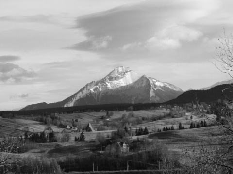 Kliknij na zdjęcie, żeby zobaczyć w pełnych wymiarach
