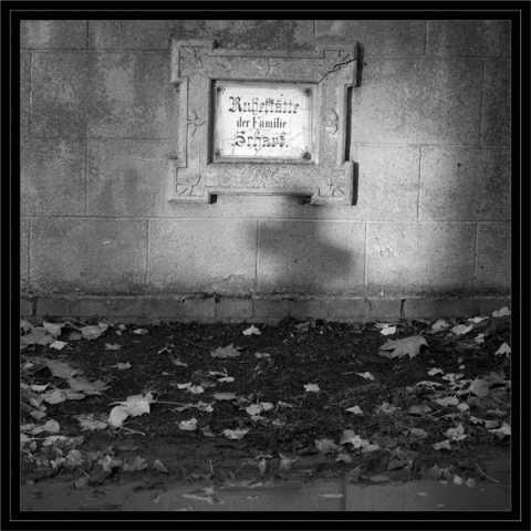 Kliknij na zdjęcie, żeby zobaczyć w pełnych wymiarach