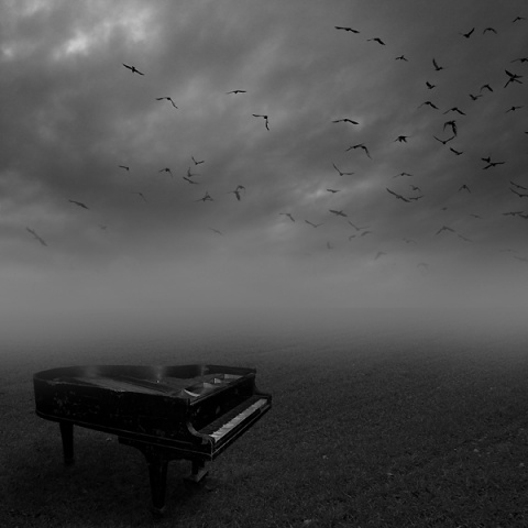 Kliknij na zdjęcie, żeby zobaczyć w pełnych wymiarach