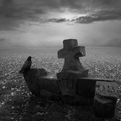 Kliknij na zdjęcie, żeby zobaczyć w pełnych wymiarach