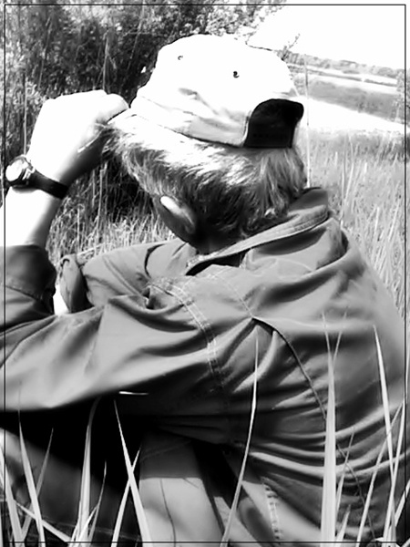 Kliknij na zdjęcie, żeby zobaczyć w pełnych wymiarach