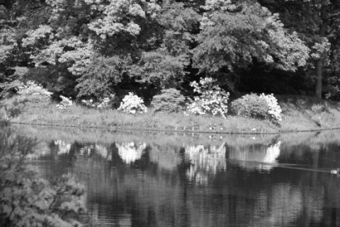 Kliknij na zdjęcie, żeby zobaczyć w pełnych wymiarach