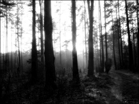 Kliknij na zdjęcie, żeby zobaczyć w pełnych wymiarach