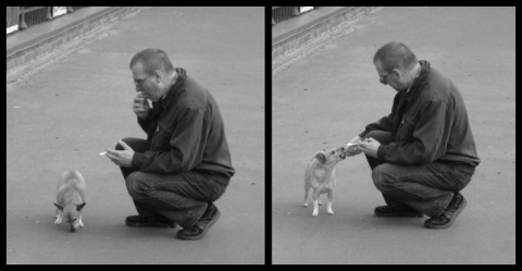 Kliknij na zdjęcie, żeby zobaczyć w pełnych wymiarach