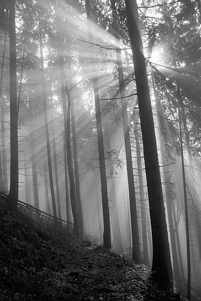 Kliknij na zdjęcie, żeby zobaczyć w pełnych wymiarach