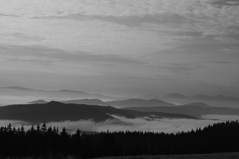 Kliknij na zdjęcie, żeby zobaczyć w pełnych wymiarach