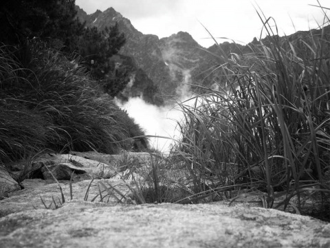 Kliknij na zdjęcie, żeby zobaczyć w pełnych wymiarach