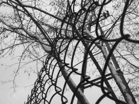 Kliknij na zdjęcie, żeby zobaczyć w pełnych wymiarach