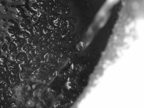 Kliknij na zdjęcie, żeby zobaczyć w pełnych wymiarach