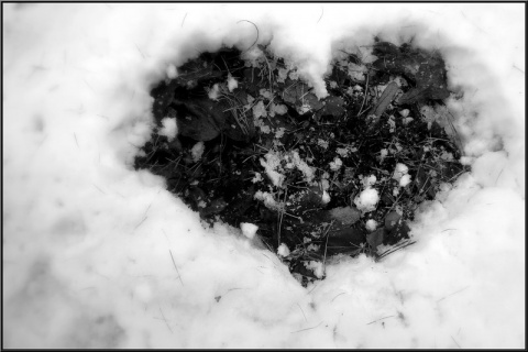 Kliknij na zdjęcie, żeby zobaczyć w pełnych wymiarach