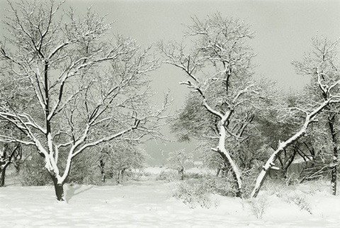 Kliknij na zdjęcie, żeby zobaczyć w pełnych wymiarach