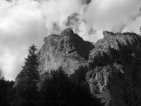 Kliknij na zdjęcie, żeby zobaczyć w pełnych wymiarach