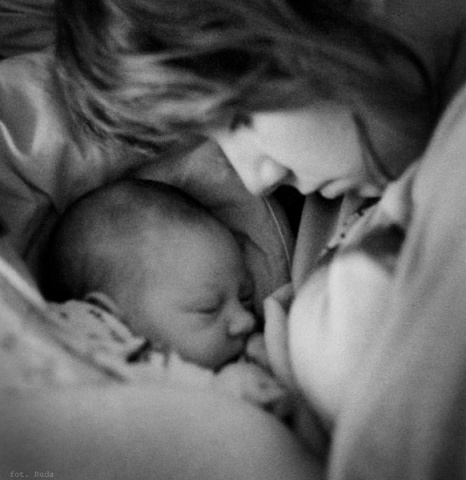 Kliknij na zdjęcie, żeby zobaczyć w pełnych wymiarach