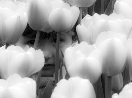 Kliknij na zdjęcie, żeby zobaczyć w pełnych wymiarach