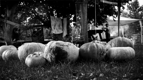 Kliknij na zdjęcie, żeby zobaczyć w pełnych wymiarach