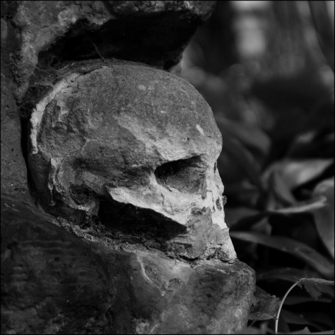 Kliknij na zdjęcie, żeby zobaczyć w pełnych wymiarach