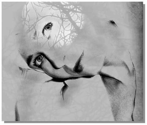 Kliknij na zdjęcie, żeby zobaczyć w pełnych wymiarach