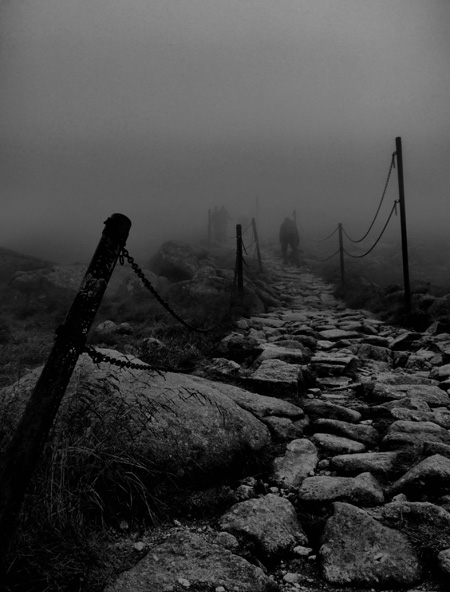 Kliknij na zdjęcie, żeby zobaczyć w pełnych wymiarach