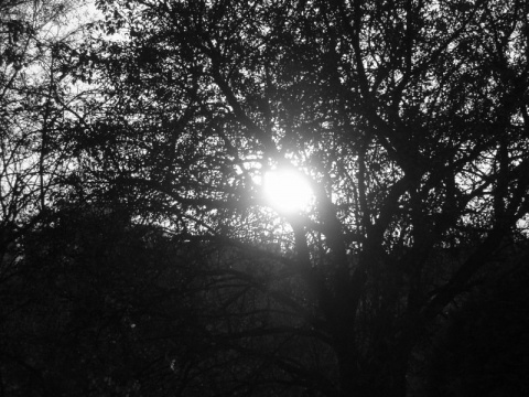 Kliknij na zdjęcie, żeby zobaczyć w pełnych wymiarach