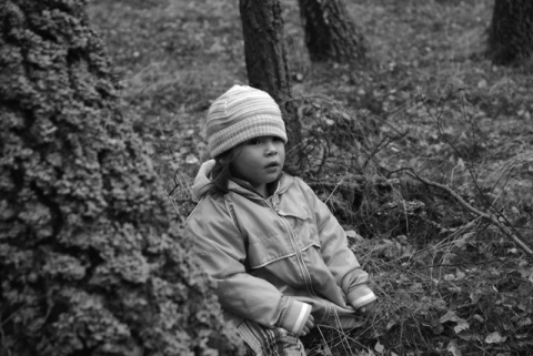 Kliknij na zdjęcie, żeby zobaczyć w pełnych wymiarach