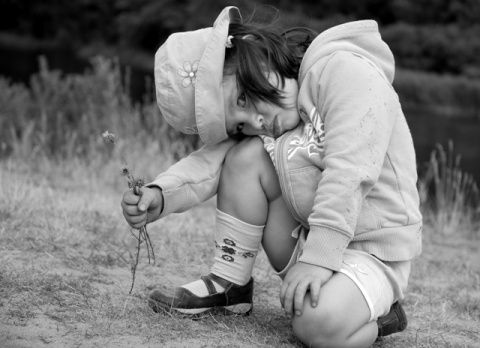 Kliknij na zdjęcie, żeby zobaczyć w pełnych wymiarach