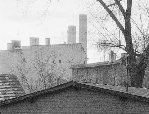 Kliknij na zdjęcie, żeby zobaczyć w pełnych wymiarach