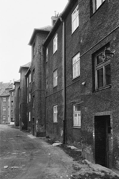 Kliknij na zdjęcie, żeby zobaczyć w pełnych wymiarach