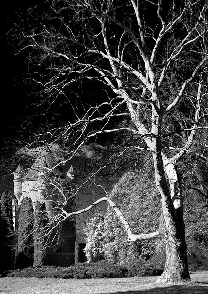 Kliknij na zdjęcie, żeby zobaczyć w pełnych wymiarach