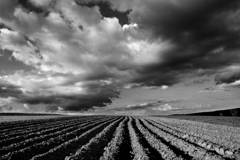 Kliknij na zdjęcie, żeby zobaczyć w pełnych wymiarach