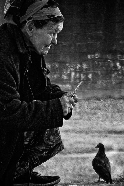 Kliknij na zdjęcie, żeby zobaczyć w pełnych wymiarach