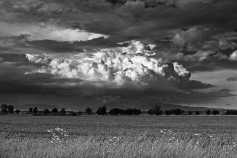 Kliknij na zdjęcie, żeby zobaczyć w pełnych wymiarach