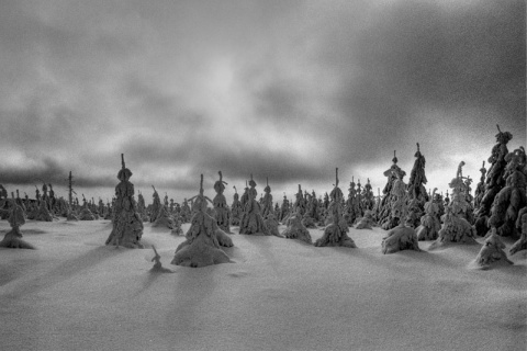 Kliknij na zdjęcie, żeby zobaczyć w pełnych wymiarach