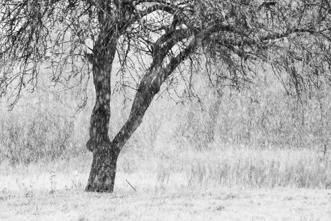 Kliknij na zdjęcie, żeby zobaczyć w pełnych wymiarach