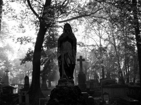 Kliknij na zdjęcie, żeby zobaczyć w pełnych wymiarach