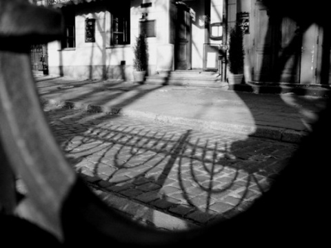 Kliknij na zdjęcie, żeby zobaczyć w pełnych wymiarach