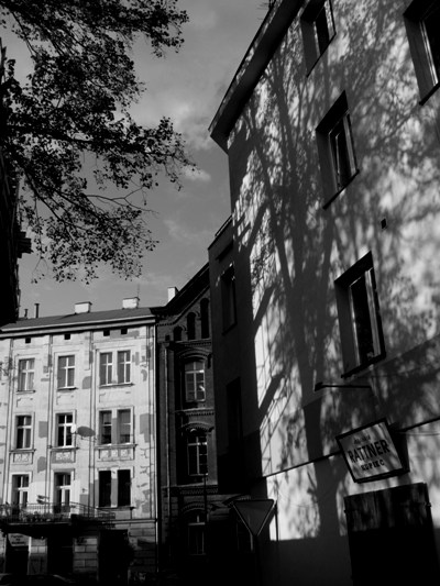 Kliknij na zdjęcie, żeby zobaczyć w pełnych wymiarach