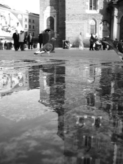 Kliknij na zdjęcie, żeby zobaczyć w pełnych wymiarach