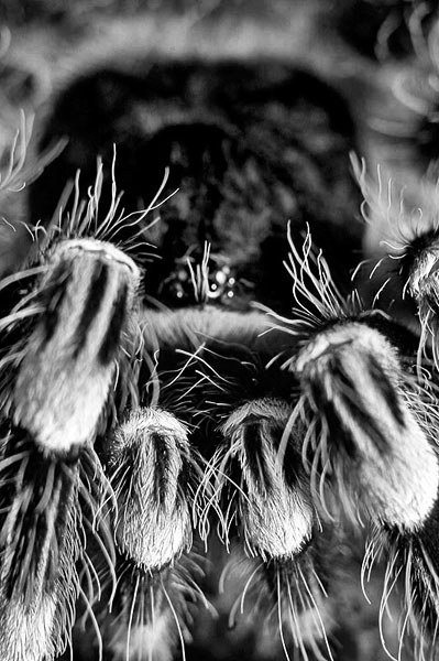 Kliknij na zdjęcie, żeby zobaczyć w pełnych wymiarach