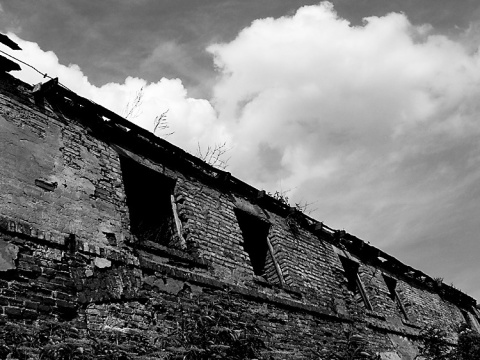 Kliknij na zdjęcie, żeby zobaczyć w pełnych wymiarach