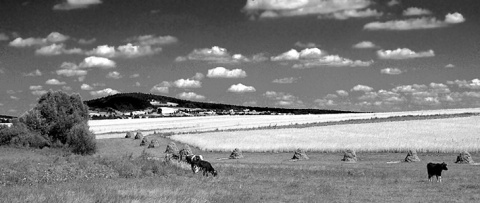 Kliknij na zdjęcie, żeby zobaczyć w pełnych wymiarach