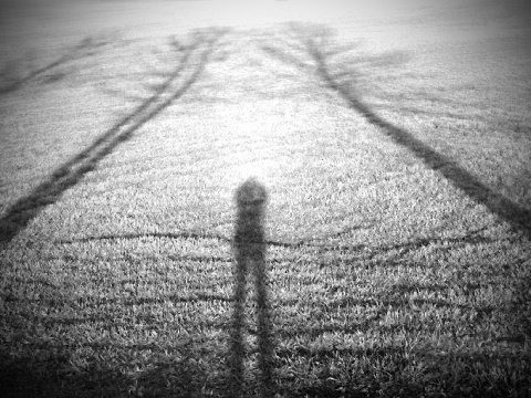 Kliknij na zdjęcie, żeby zobaczyć w pełnych wymiarach