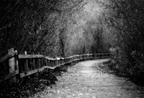 Kliknij na zdjęcie, żeby zobaczyć w pełnych wymiarach