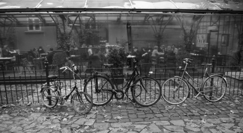 Kliknij na zdjęcie, żeby zobaczyć w pełnych wymiarach