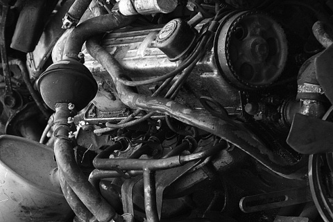 Kliknij na zdjęcie, żeby zobaczyć w pełnych wymiarach