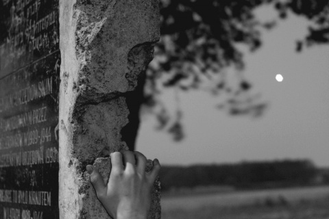 Kliknij na zdjęcie, żeby zobaczyć w pełnych wymiarach