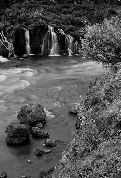 Kliknij na zdjęcie, żeby zobaczyć w pełnych wymiarach