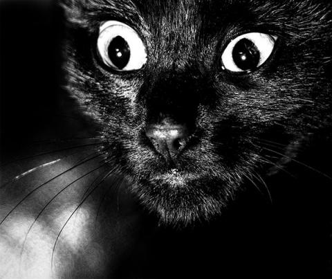 Kliknij na zdjęcie, żeby zobaczyć w pełnych wymiarach