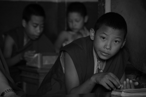 Kliknij na zdjęcie, żeby zobaczyć w pełnych wymiarach