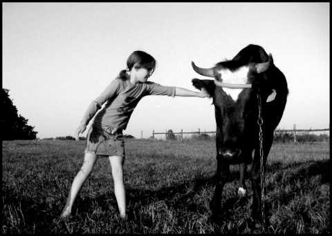 Kliknij na zdjęcie, żeby zobaczyć w pełnych wymiarach